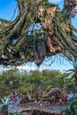 Pandora Ã¢â¬â The World of Avatar at the Animal Kingdom at Walt Disney World Royalty Free Stock Photo